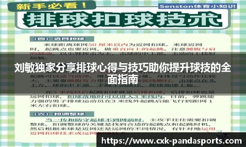 熊猫体育