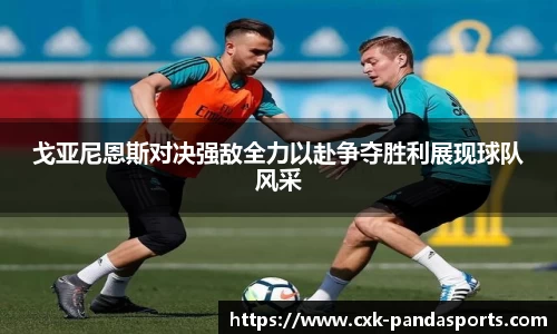 熊猫体育官网